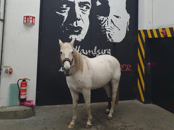 Elf Liter Blut, ein Pferd und der Bundeskanzler (stern)